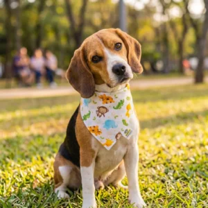 Bandana para perro Mod. Selvita