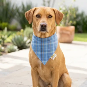 Bandana para perro Mod. Escocés Azul