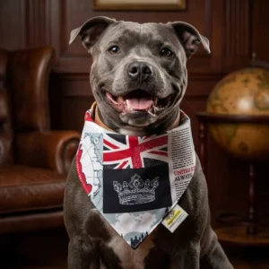 Bandana para perro Mod. England
