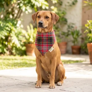 Bandana para perro Escocés Roja