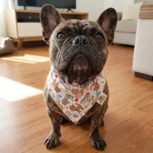 Bandana para perro Mod. Gatitos