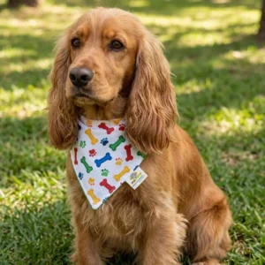 Bandana para perro Mod. Huesitos