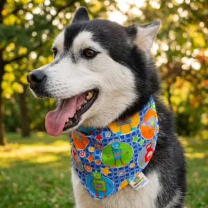 Bandana (paliacate) para perro Mod. Robot Azul