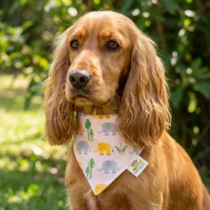 Bandana para perro Mod. Elefantitos