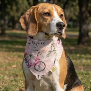 Bandana para perro Mod. París
