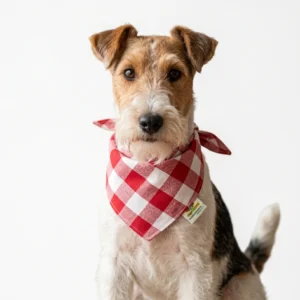 Bandana (paliacate) para perro Mod. Vichy Rojo